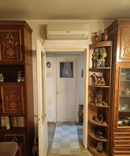 Berceni, Spitalul Bagdasar Arsenie, Emil Racovita,