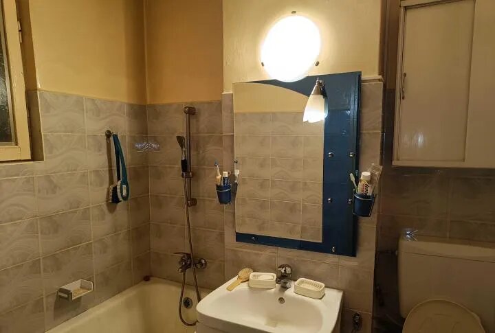 Berceni, Spitalul Bagdasar Arsenie, Emil Racovita,